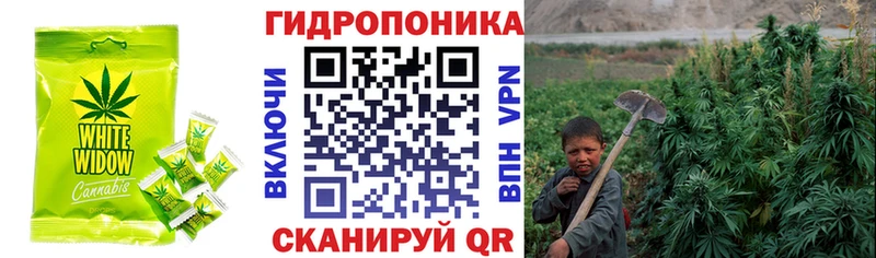 Cannafood марихуана  где купить наркоту  Славгород 