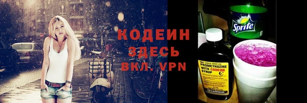 индика Вяземский