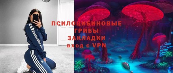 гашик Аркадак