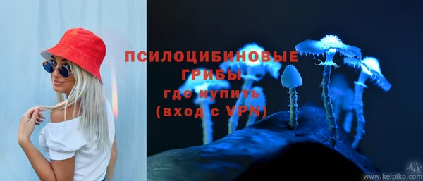 гашик Аркадак