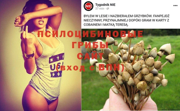 гашик Аркадак