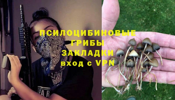 гашик Аркадак