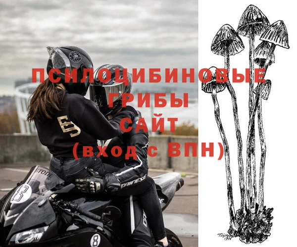 стафф Армянск