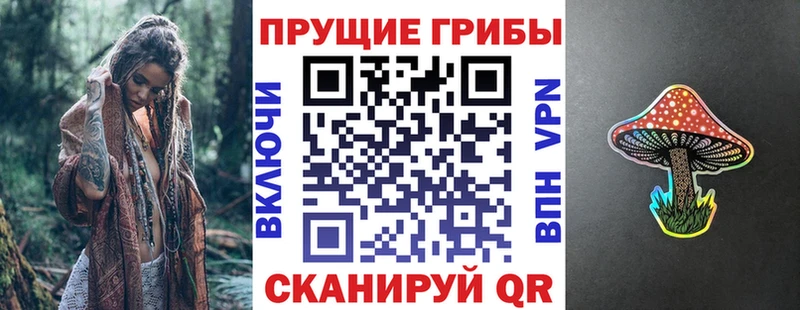маркетплейс наркотические препараты  Славгород  Галлюциногенные грибы Psilocybe 