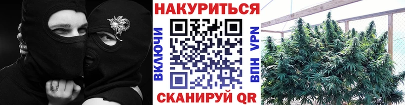 Конопля LSD WEED  Славгород 